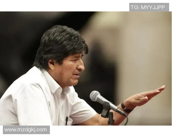 赖斯的崛起与挑战：探讨其在国际政治中的影响力与未来发展方向